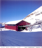 Rindertitlis - Stand